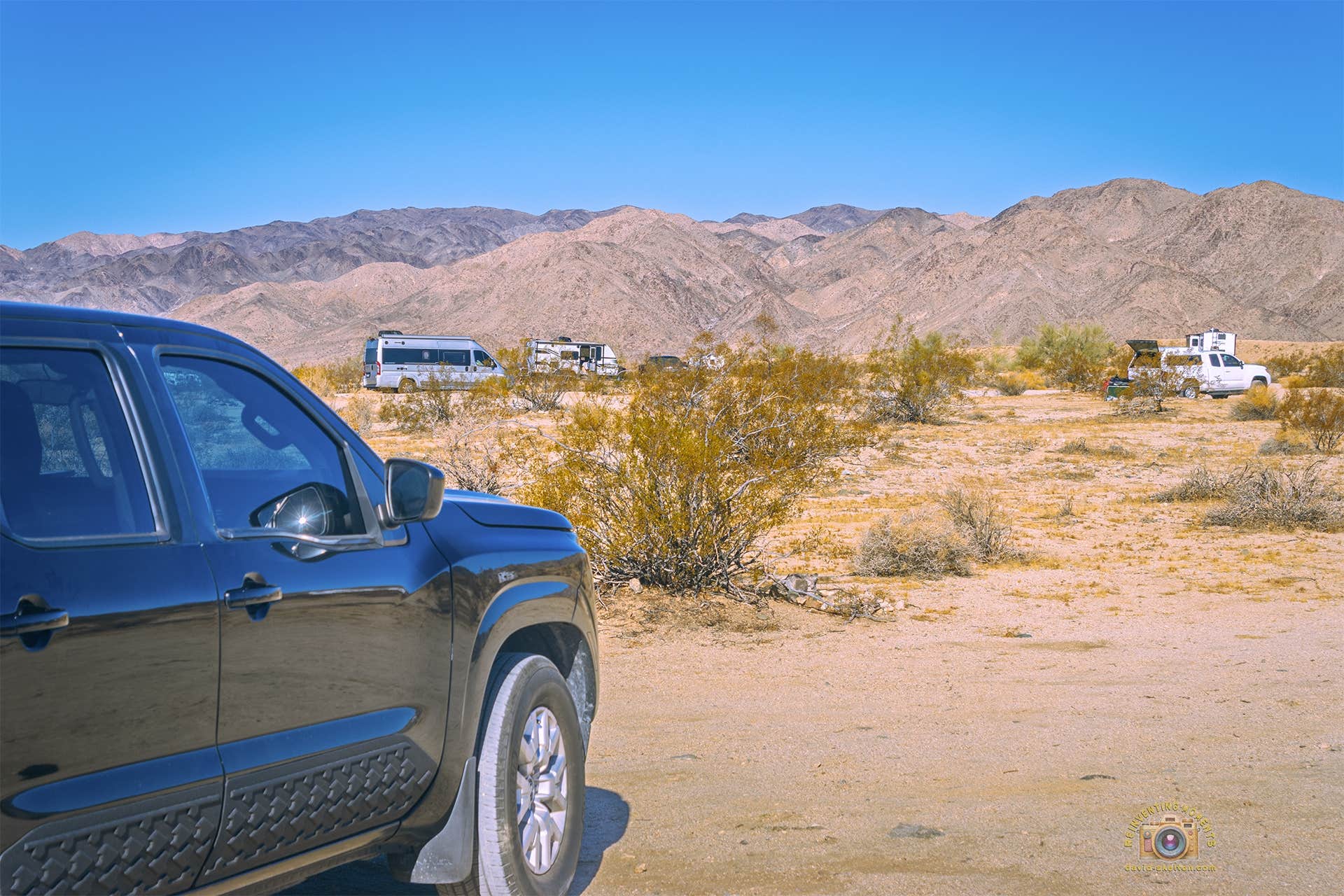 Camper submitted image from Joshua Tree South Entrance - 2