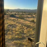 Review photo of Joshua Tree South Entrance by Alisa P., October 14, 2025