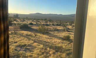 Alisa P.'s photo of camping with pets at Joshua Tree South Entrance near Joshua Tree National Park