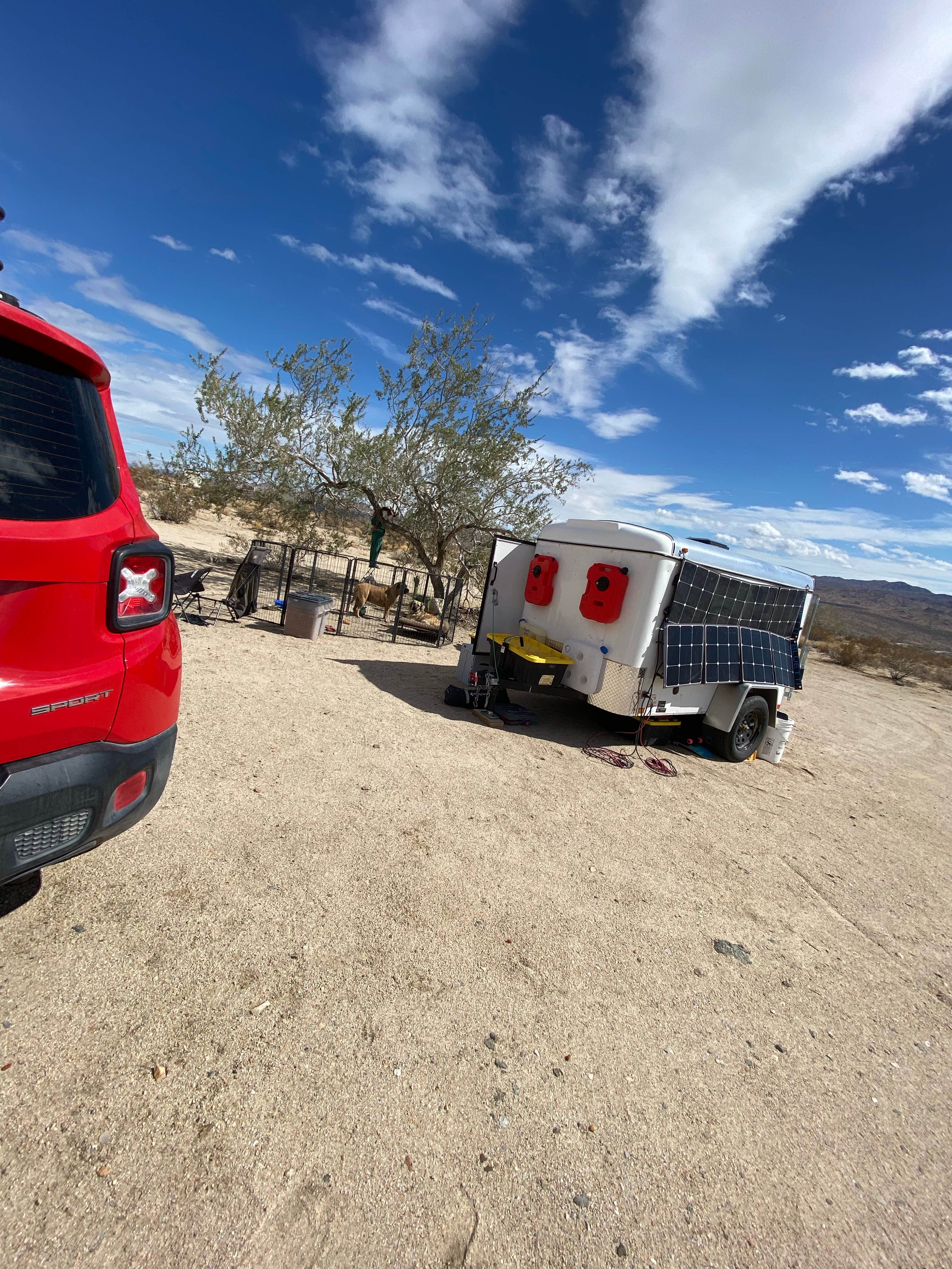 Imerie T.'s photo of camping with pets at Joshua Tree South Entrance near Joshua Tree National Park
