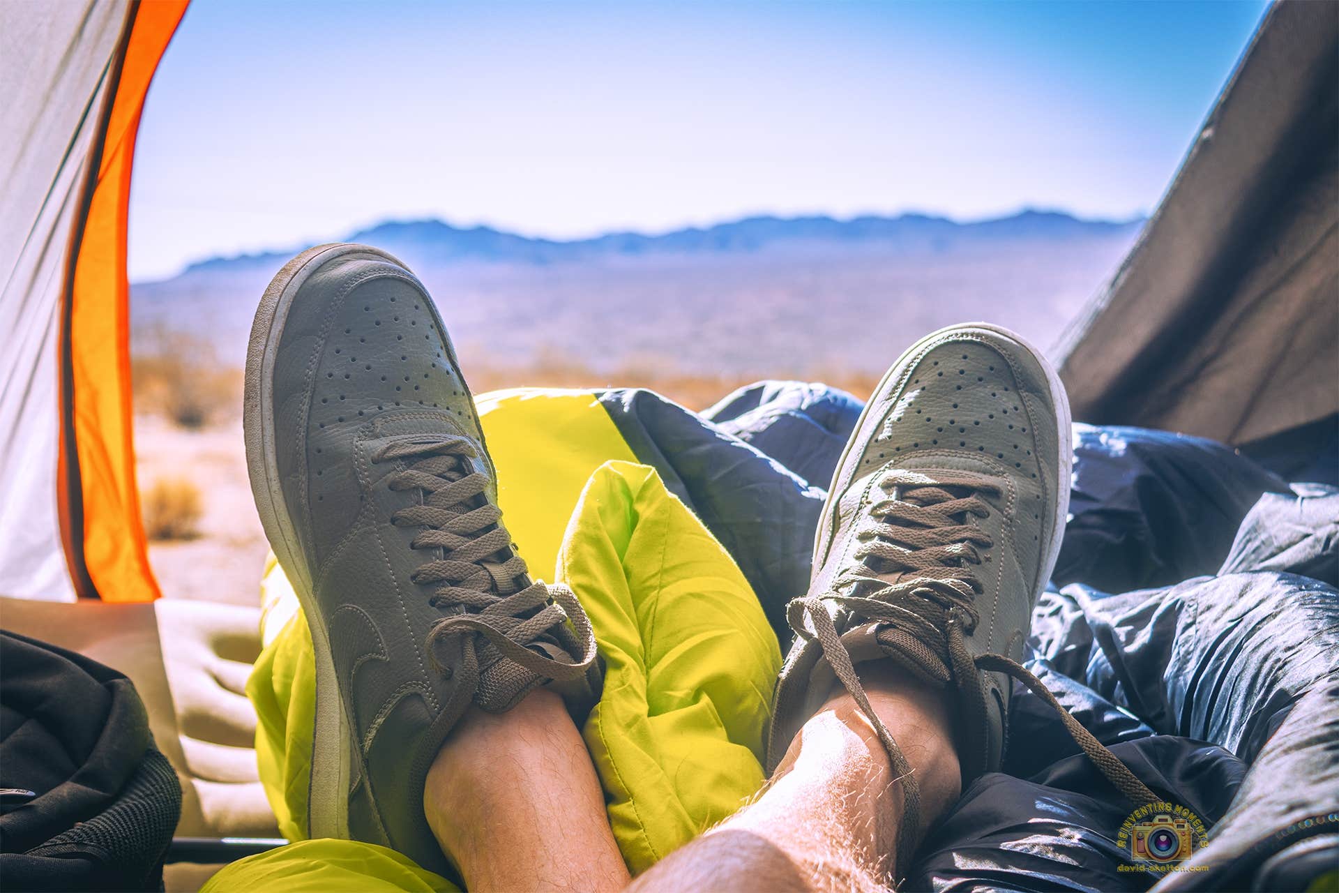 Camper submitted image from Joshua Tree South Entrance - 4