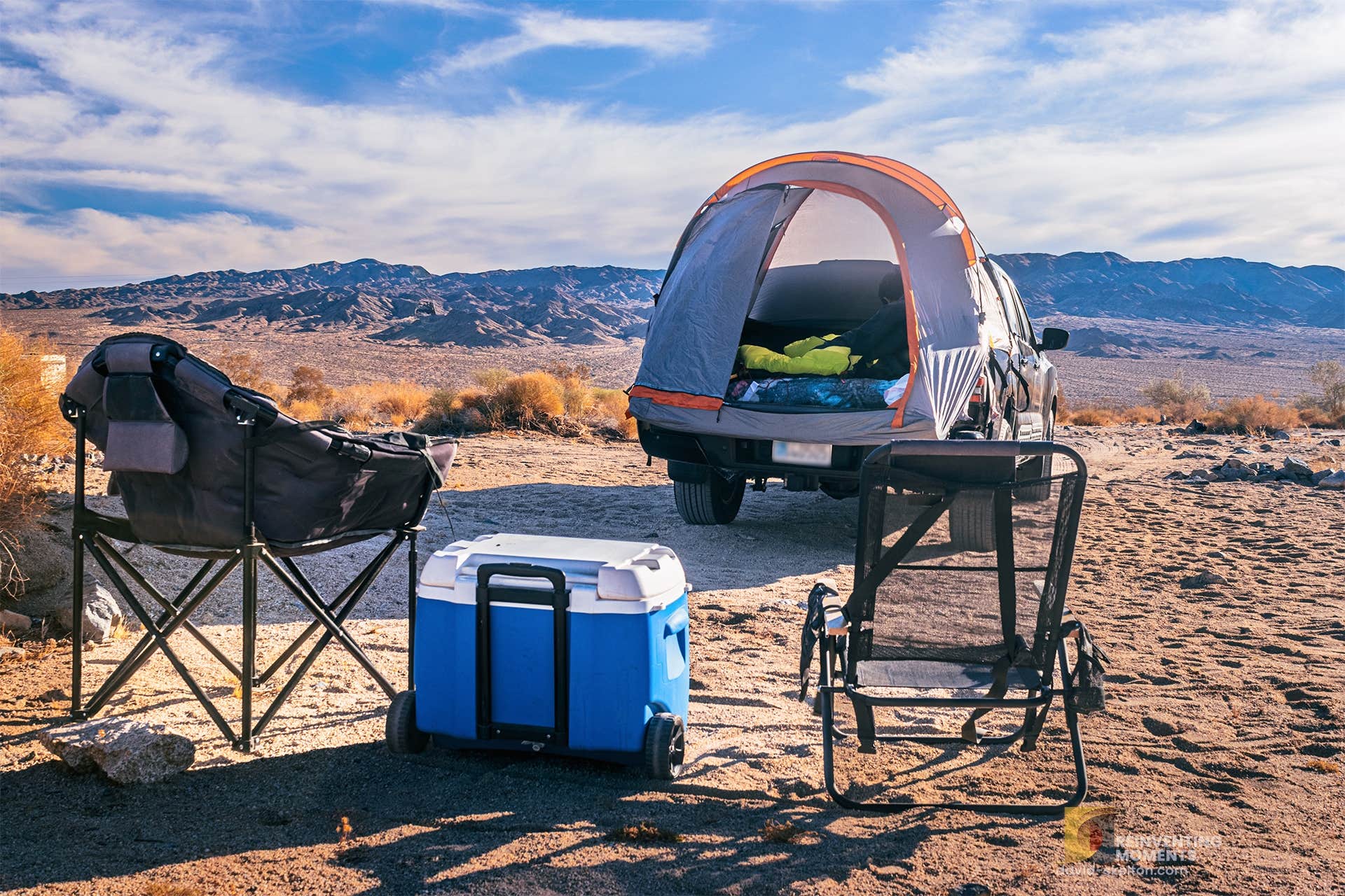 Camper submitted image from Joshua Tree South Entrance - 5