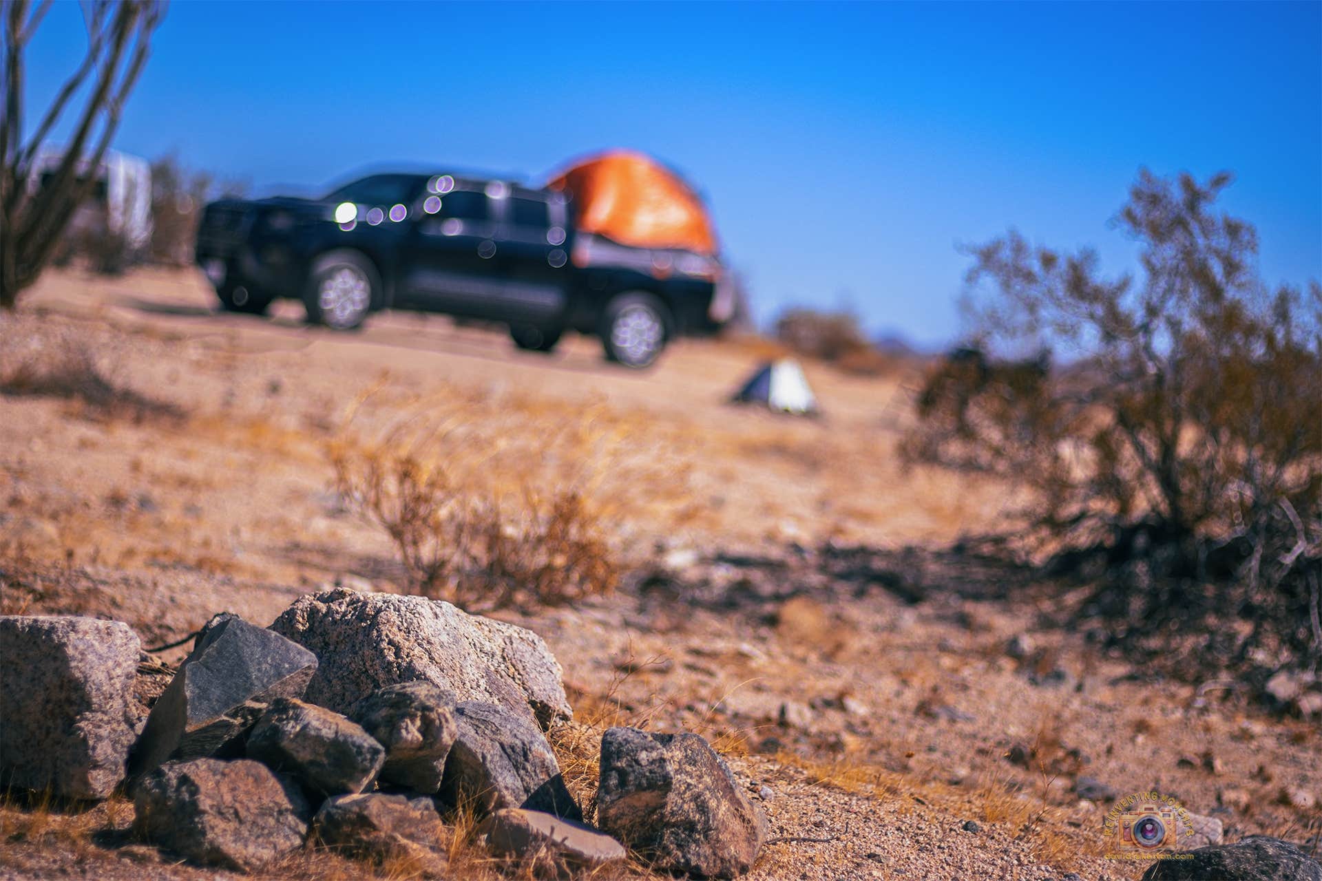 Camper submitted image from Joshua Tree South Entrance - 2