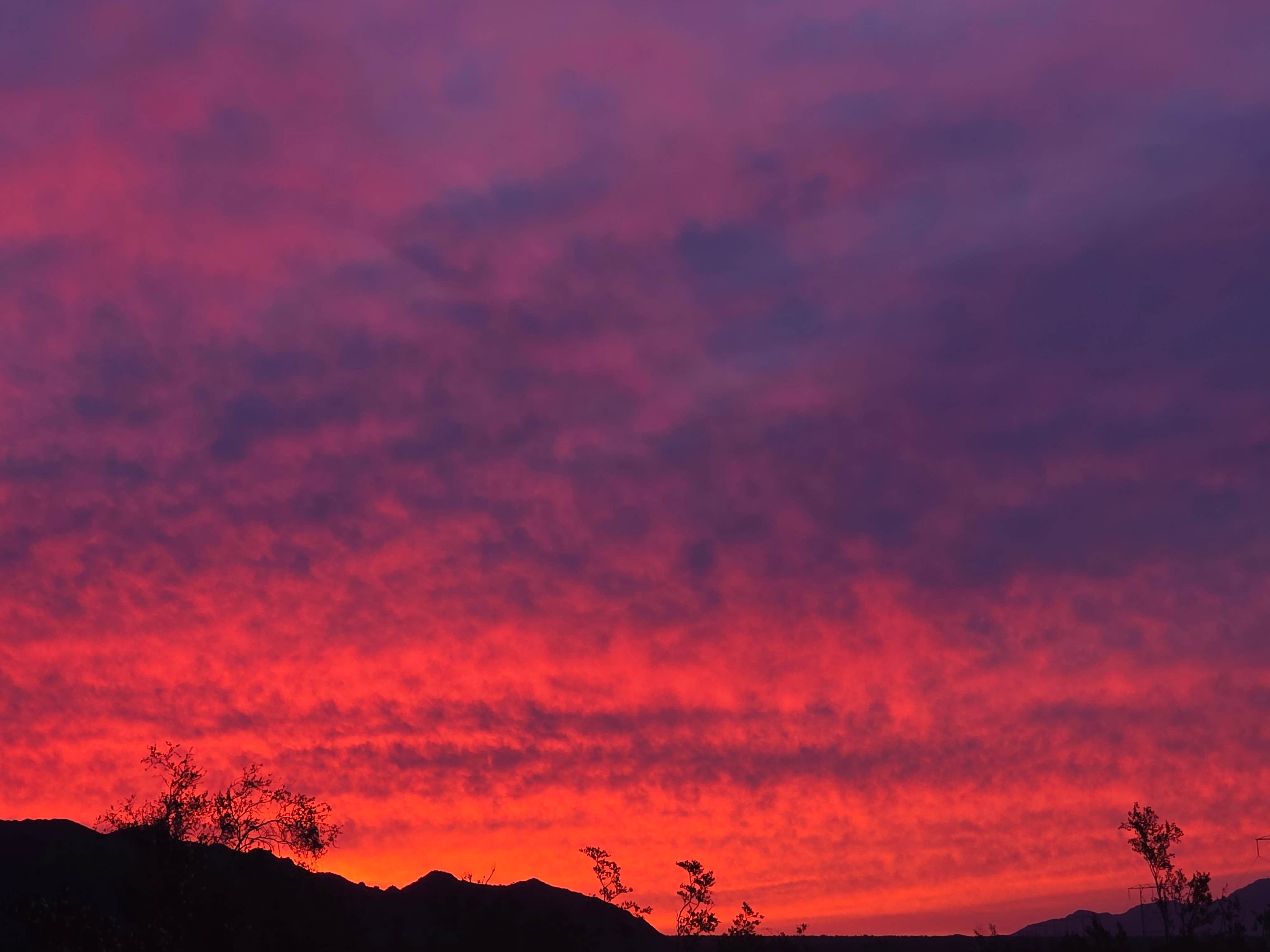 Camping near Box Canyon Dispersed: Joshua Tree South Entrance, Mecca, California