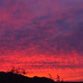 Review photo of Joshua Tree South Entrance by Andrew H., April 26, 2026