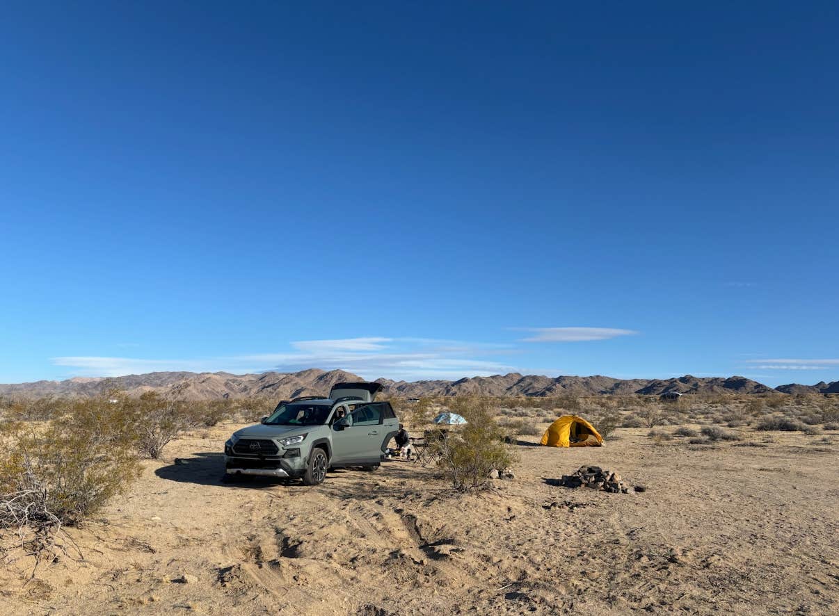 Camper-submitted photo at Joshua Tree South Entrance near Thermal, CA