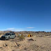 Review photo of Joshua Tree South Entrance by carina M., May 22, 2025