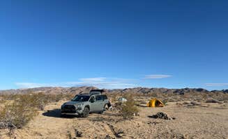 carina M.'s photo at Joshua Tree South Entrance near Coolidge Springs, CA