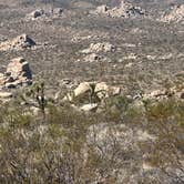 Review photo of Joshua Tree South Entrance by Alisa P., October 14, 2025