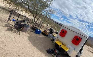 Imerie T.'s photo at Joshua Tree South Entrance near Joshua Tree National Park
