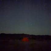 Review photo of Joshua Tree South Entrance by carina M., May 22, 2025