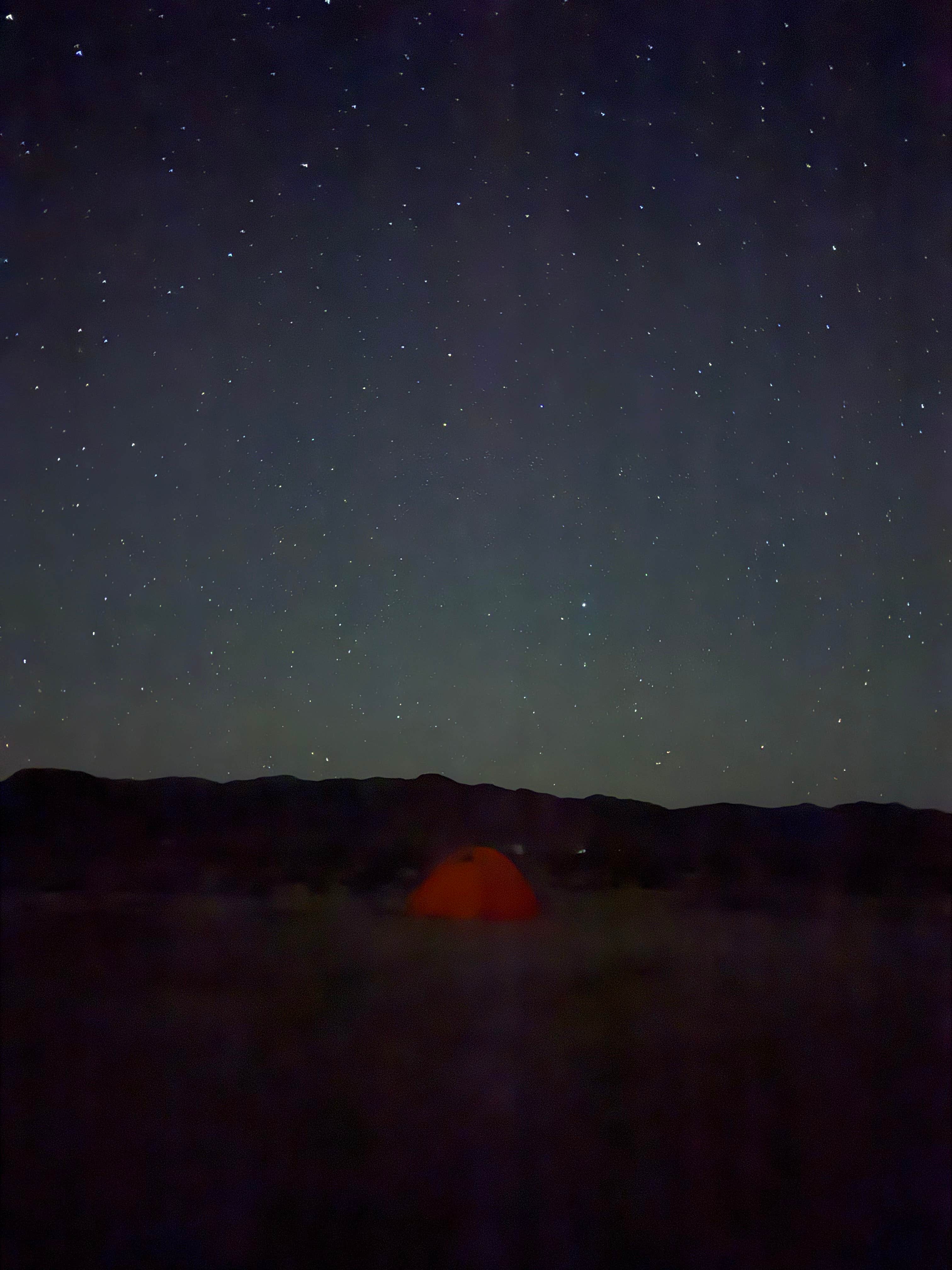 Camper submitted image from Joshua Tree South Entrance - 1