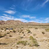 Review photo of Joshua Tree South - BLM Dispersed by Christie , March 8, 2026