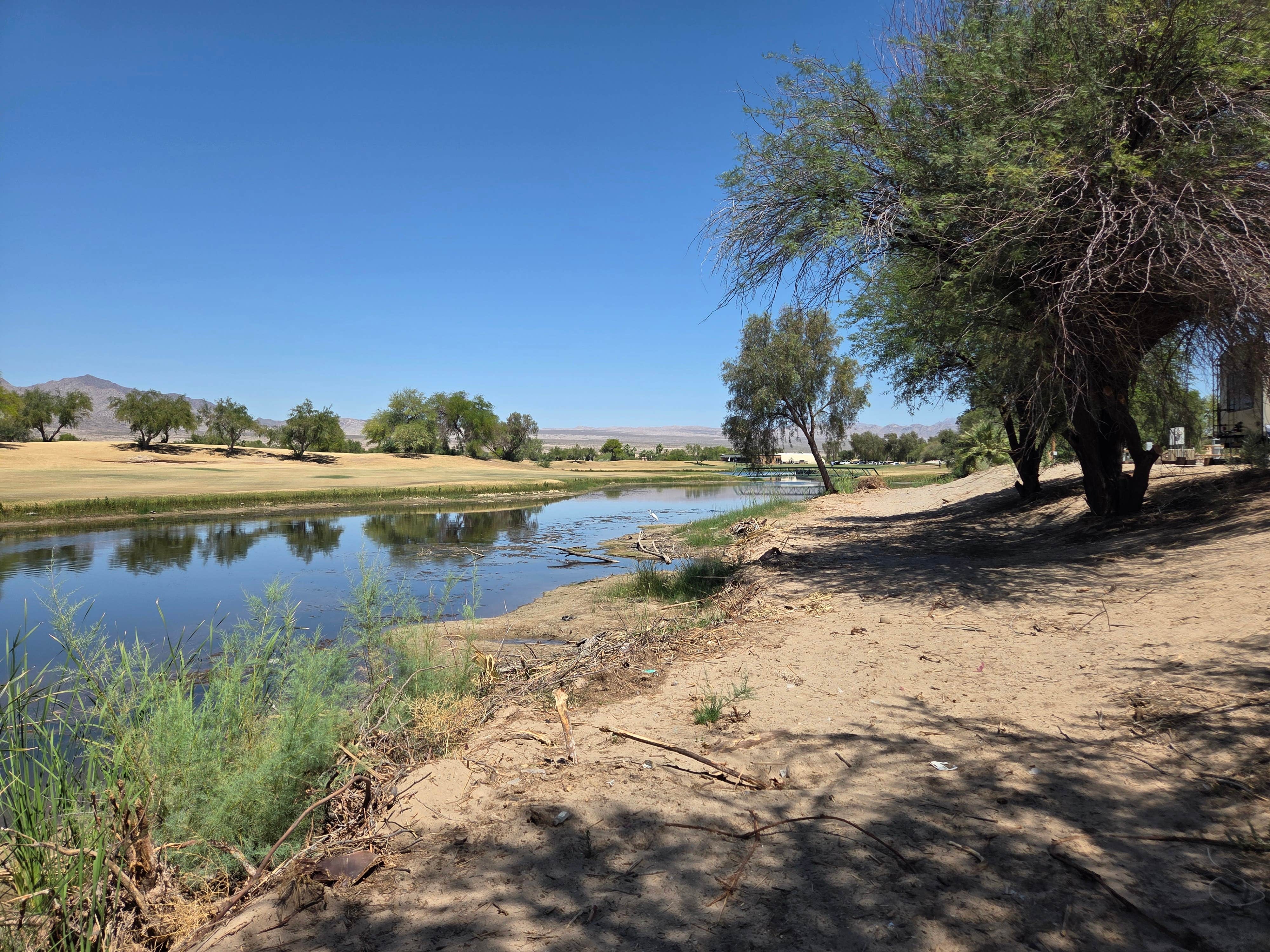 Camper-submitted photo at Laughlin Avi KOA / Journey near Mohave Valley, AZ