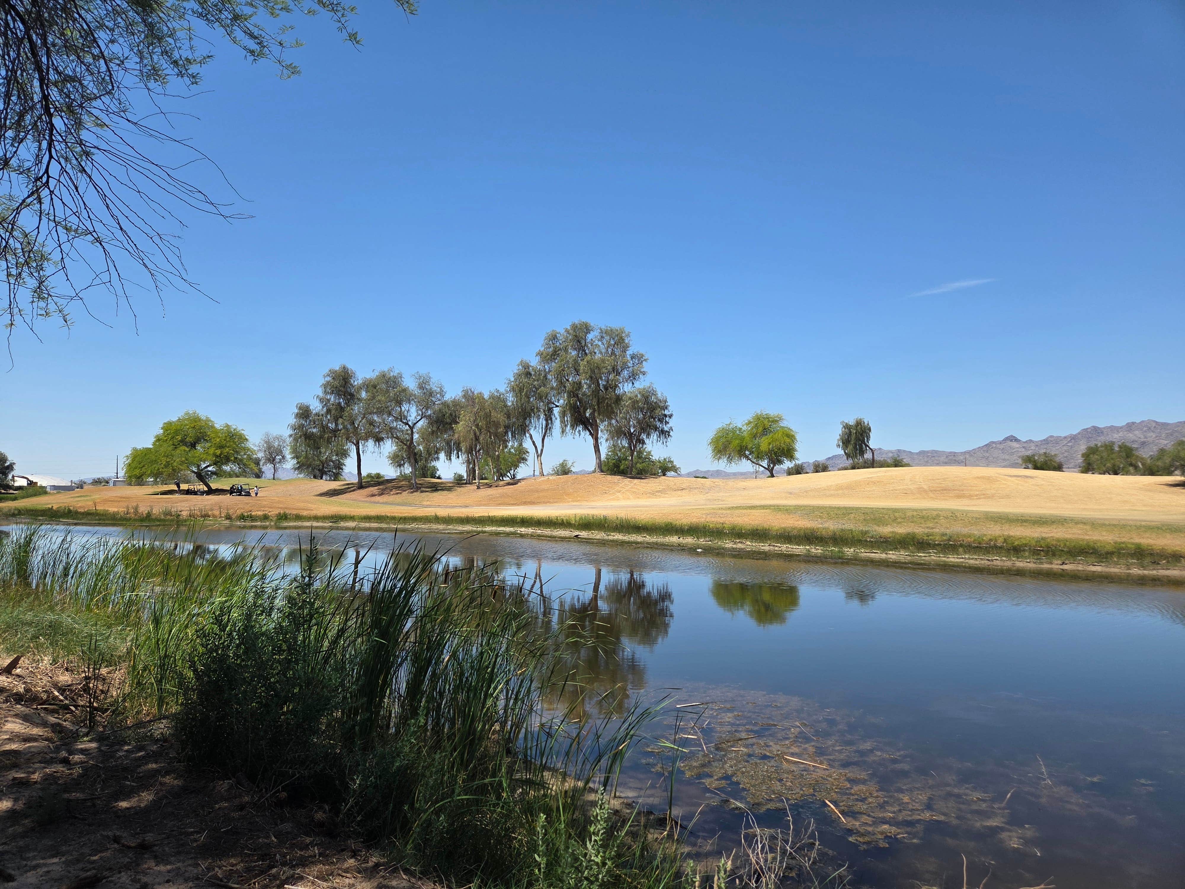Camper-submitted photo at Laughlin Avi KOA / Journey near Mohave Valley, AZ