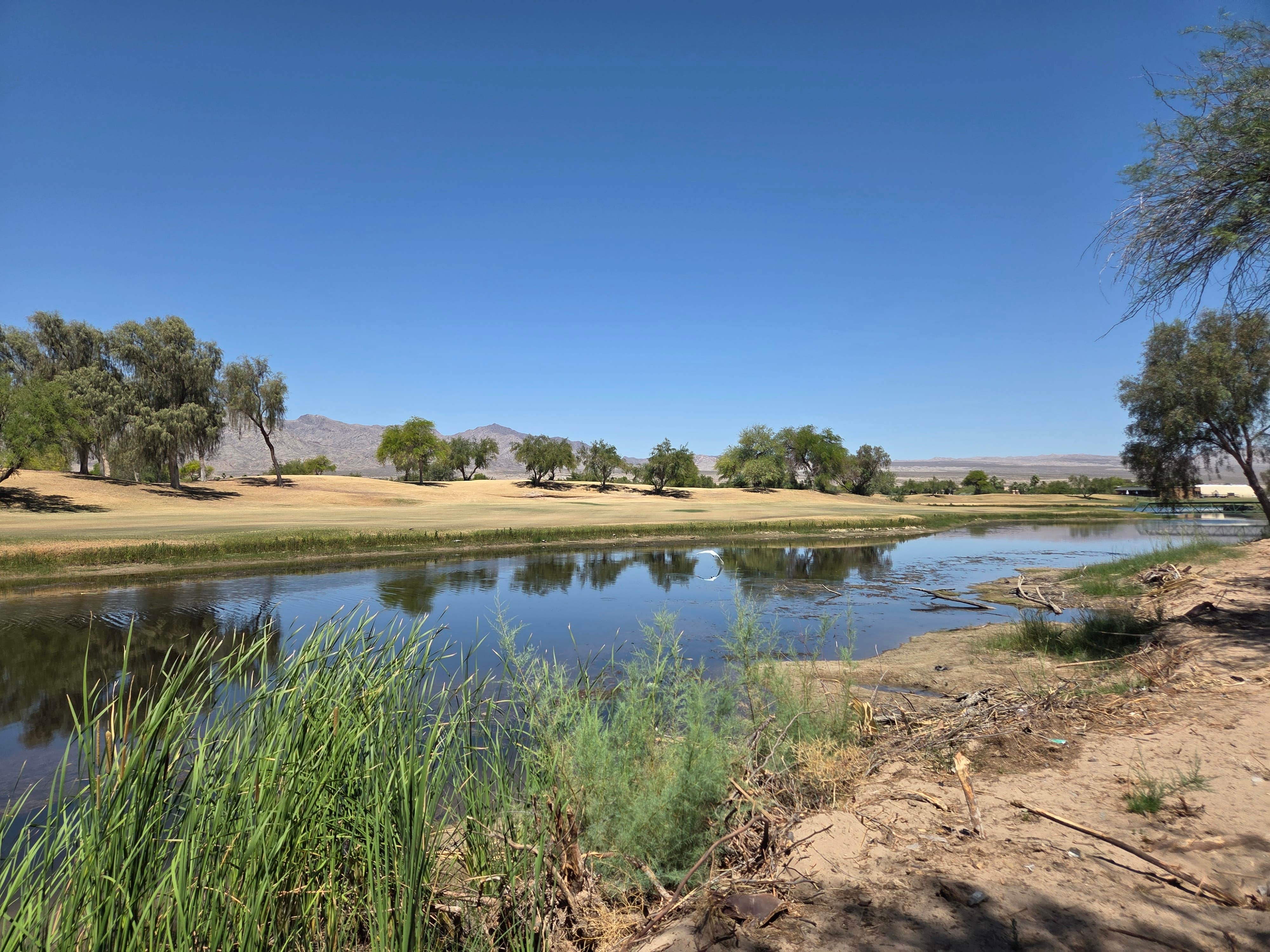 Camper-submitted photo at Laughlin Avi KOA / Journey near Mohave Valley, AZ