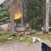 Review photo of Jubilee Lake Campground (Or) — Umatilla National Forest by Jon and Jenny P., October 4, 2024