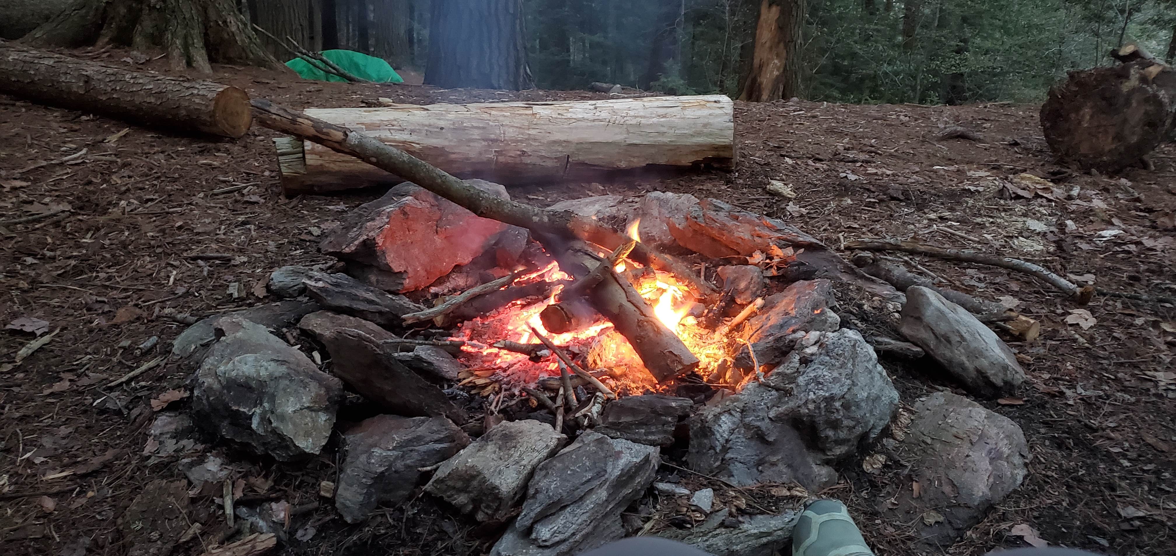Camper-submitted photo at Jug End Dispersed — Appalachian National Scenic Trail near Tolland, MA