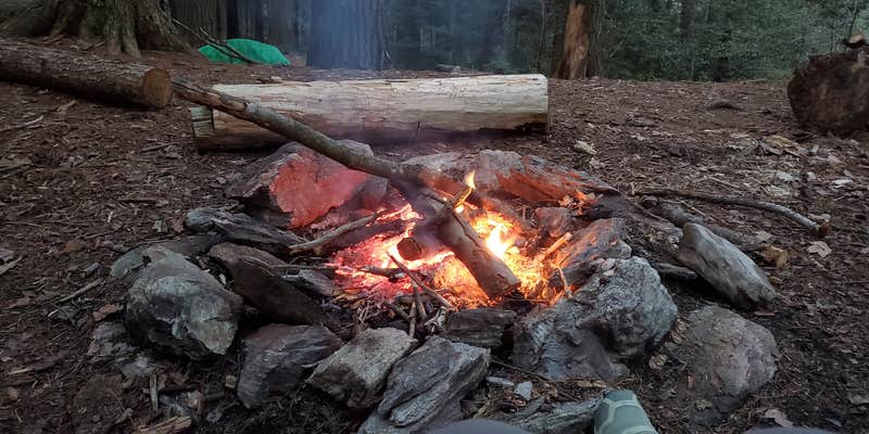 Camper submitted image from Jug End Dispersed — Appalachian National Scenic Trail