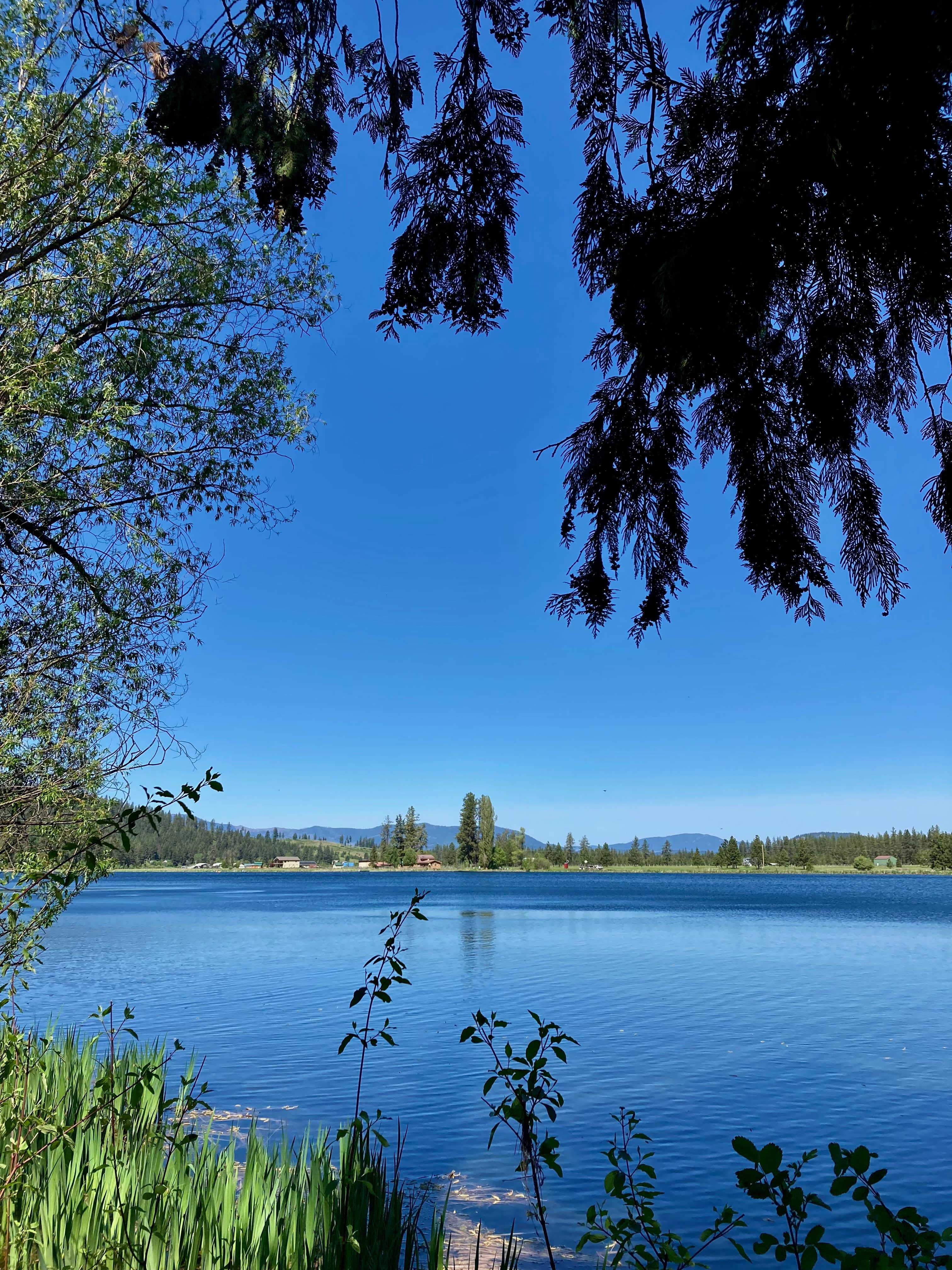 Camper-submitted photo at Jump Off Joe Lake Resort and RV Park near Chewelah, WA