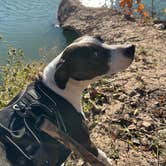 Review photo of Junction City Park by Gary F., December 18, 2025