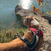 Review photo of Junction City Park by Gary F., December 18, 2025