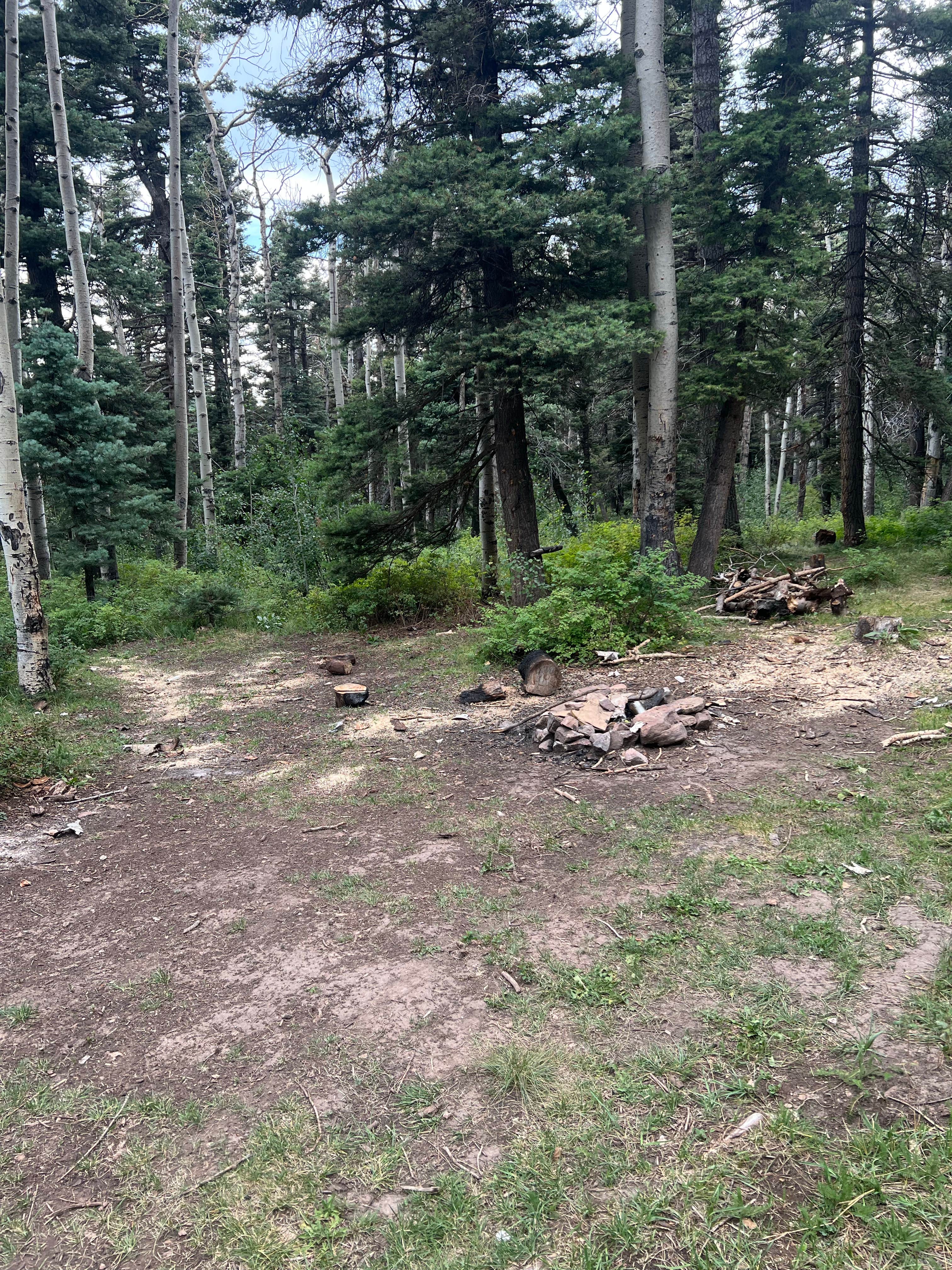 Camper-submitted photo at Junction Creek Rd Dispersed near Purgatory, CO