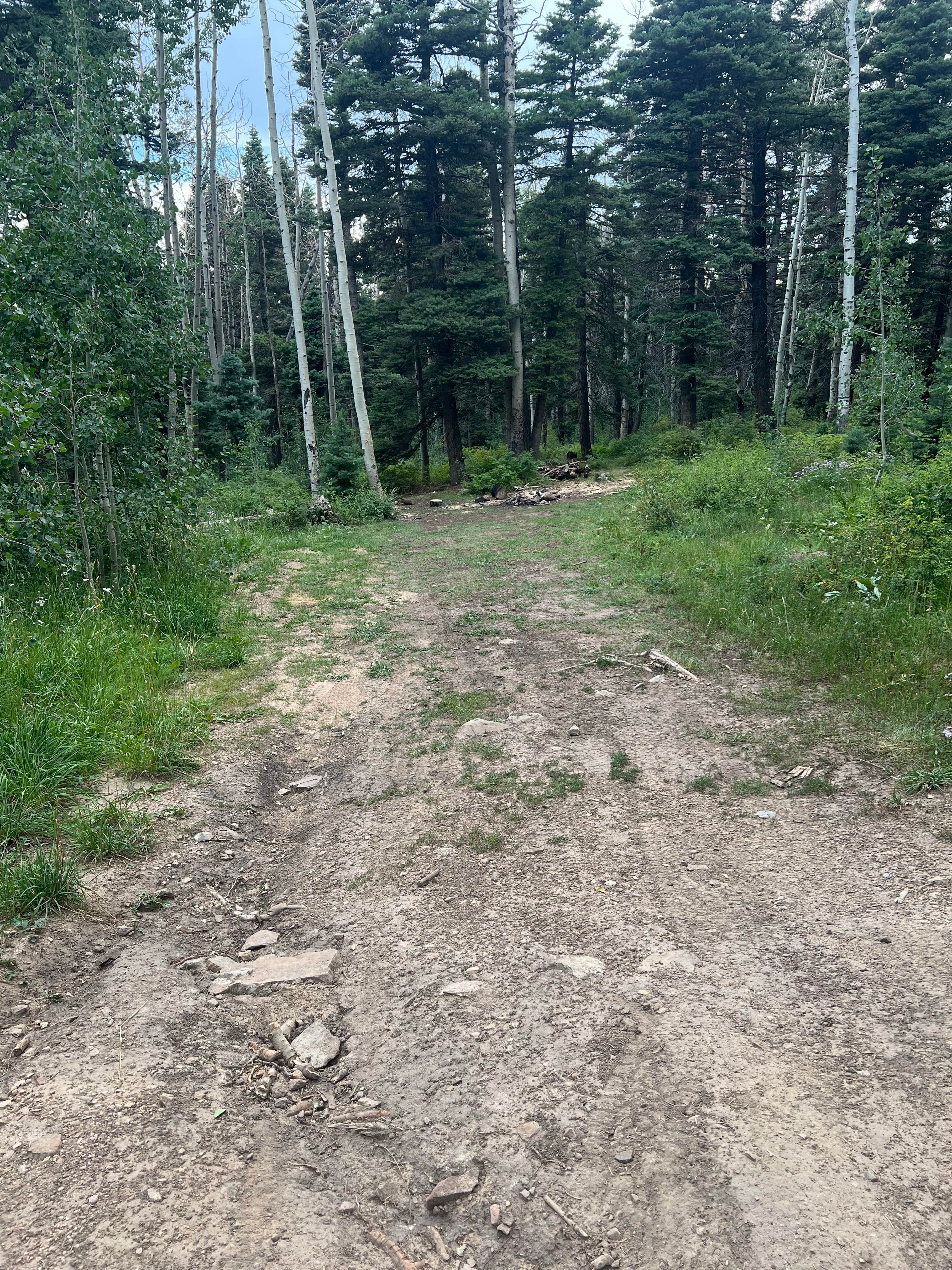 Camper-submitted photo at Junction Creek Rd Dispersed near Purgatory, CO