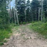 Review photo of Junction Creek Rd Dispersed by Nathan M., August 4, 2024