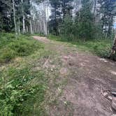 Review photo of Junction Creek Rd Dispersed by Nathan M., August 4, 2024