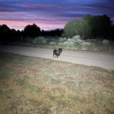 Review photo of Junction West Durango Riverside Resort by Tj D., May 22, 2026