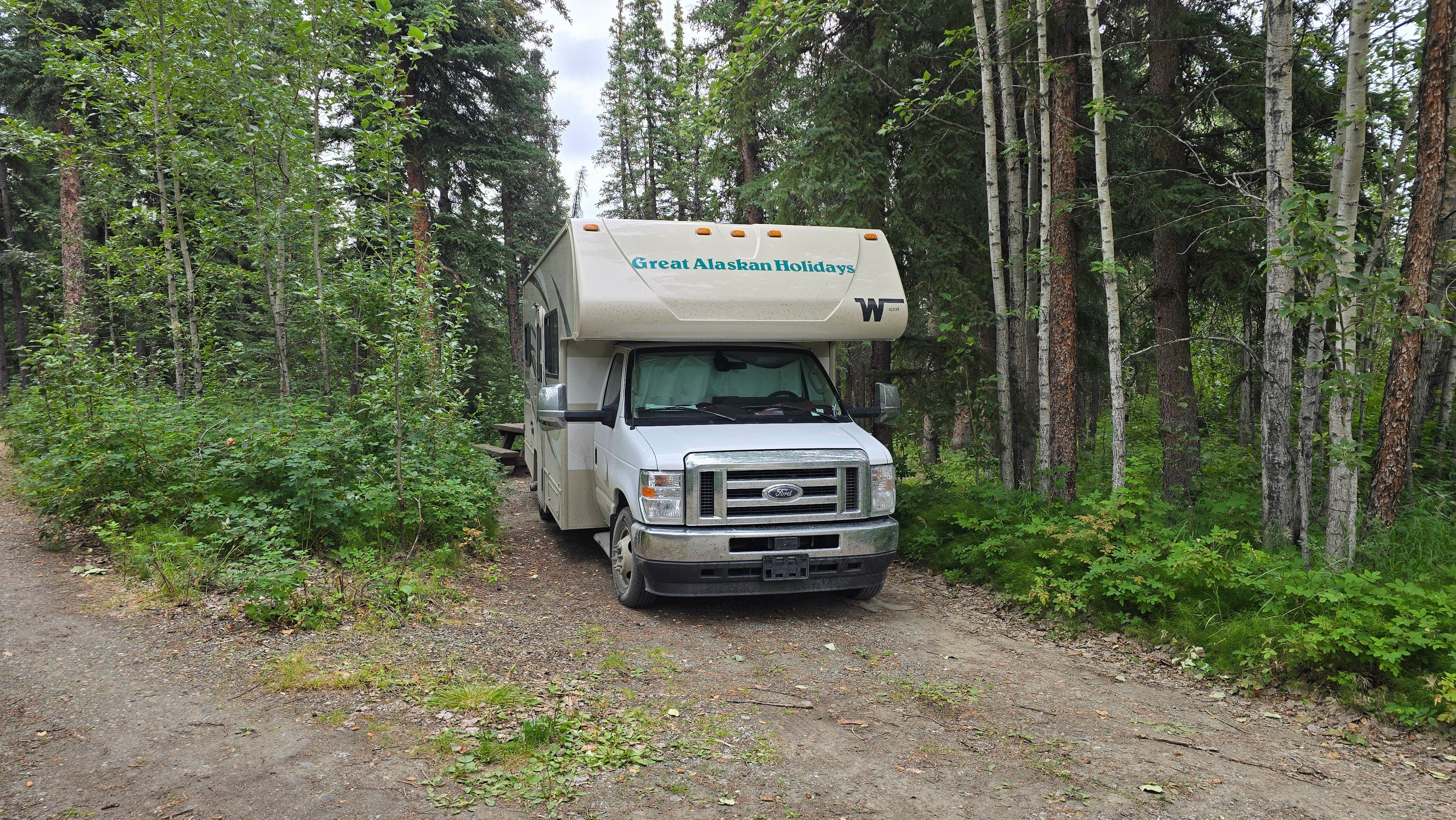 Huck O.'s photo of rv camping at June Creek Rest Area - mile 269 near Healy, AK