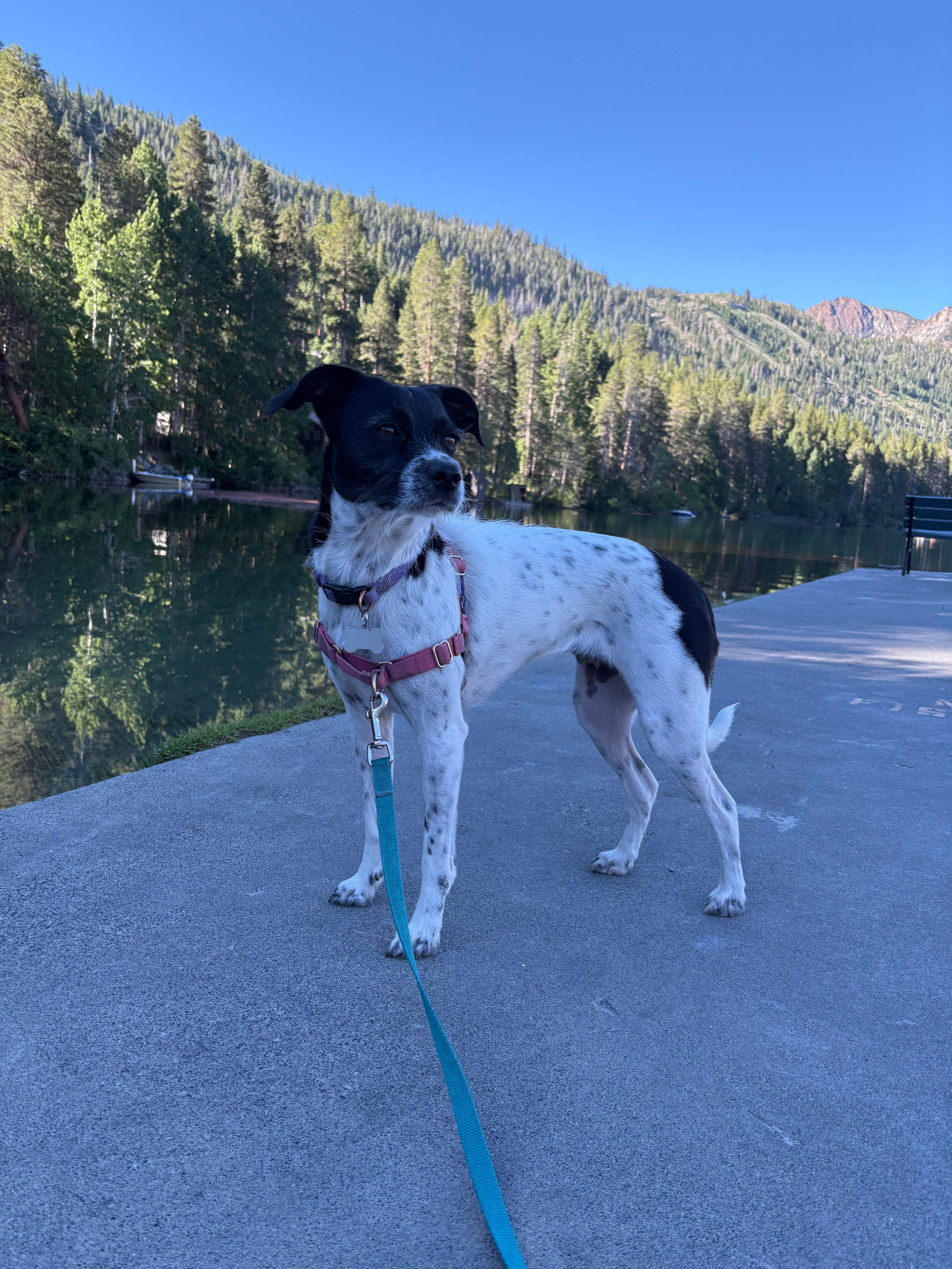 Camper-submitted photo at June Lake RV Park near Lee Vining, CA