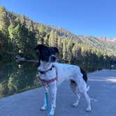 Review photo of June Lake RV Park by Courtney P., July 10, 2026