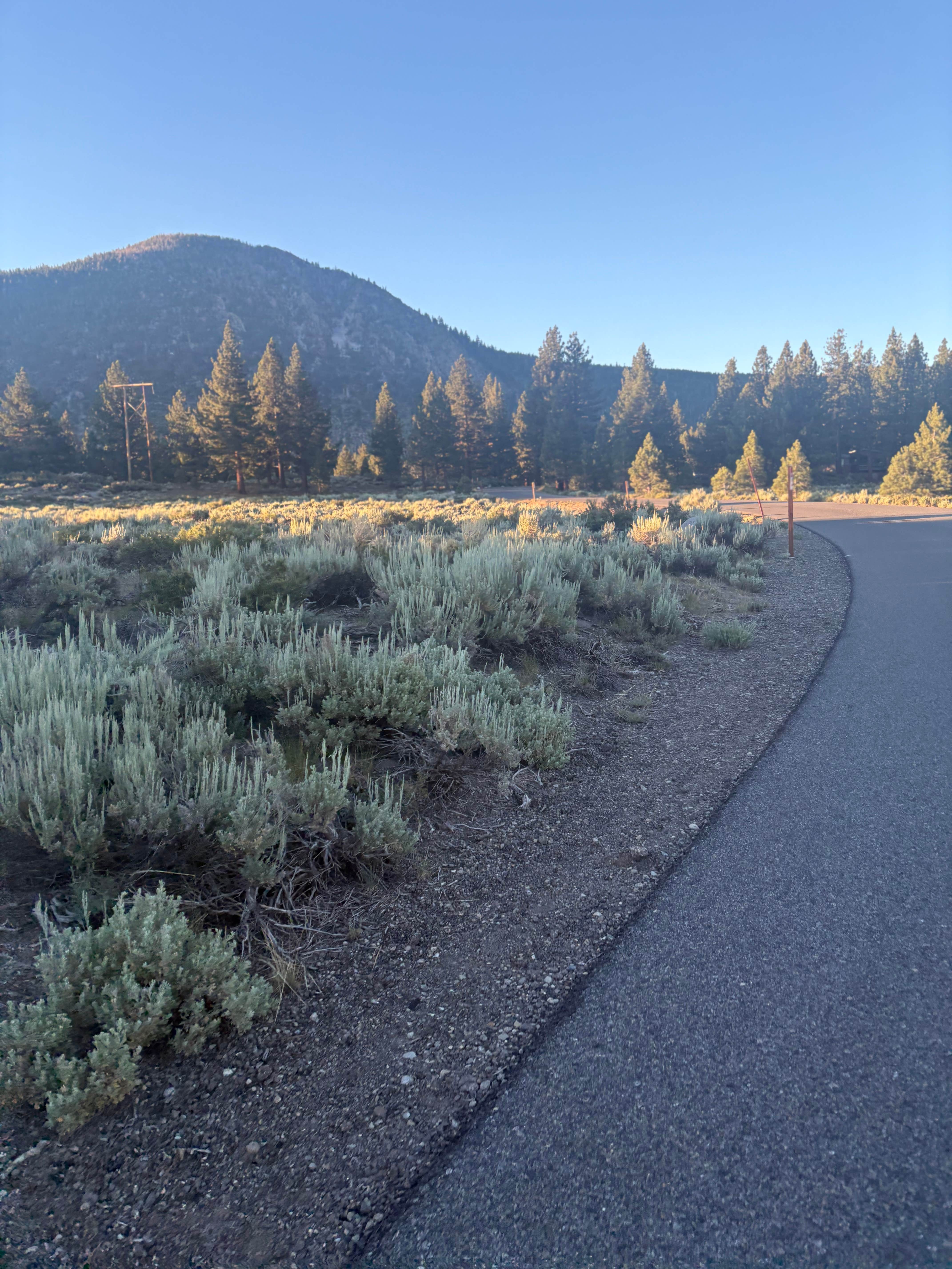 Camper-submitted photo at June Lake RV Park near Lee Vining, CA