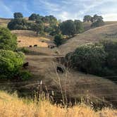 Review photo of Juniper Campground — Mount Diablo State Park by Brittney L., June 3, 2025
