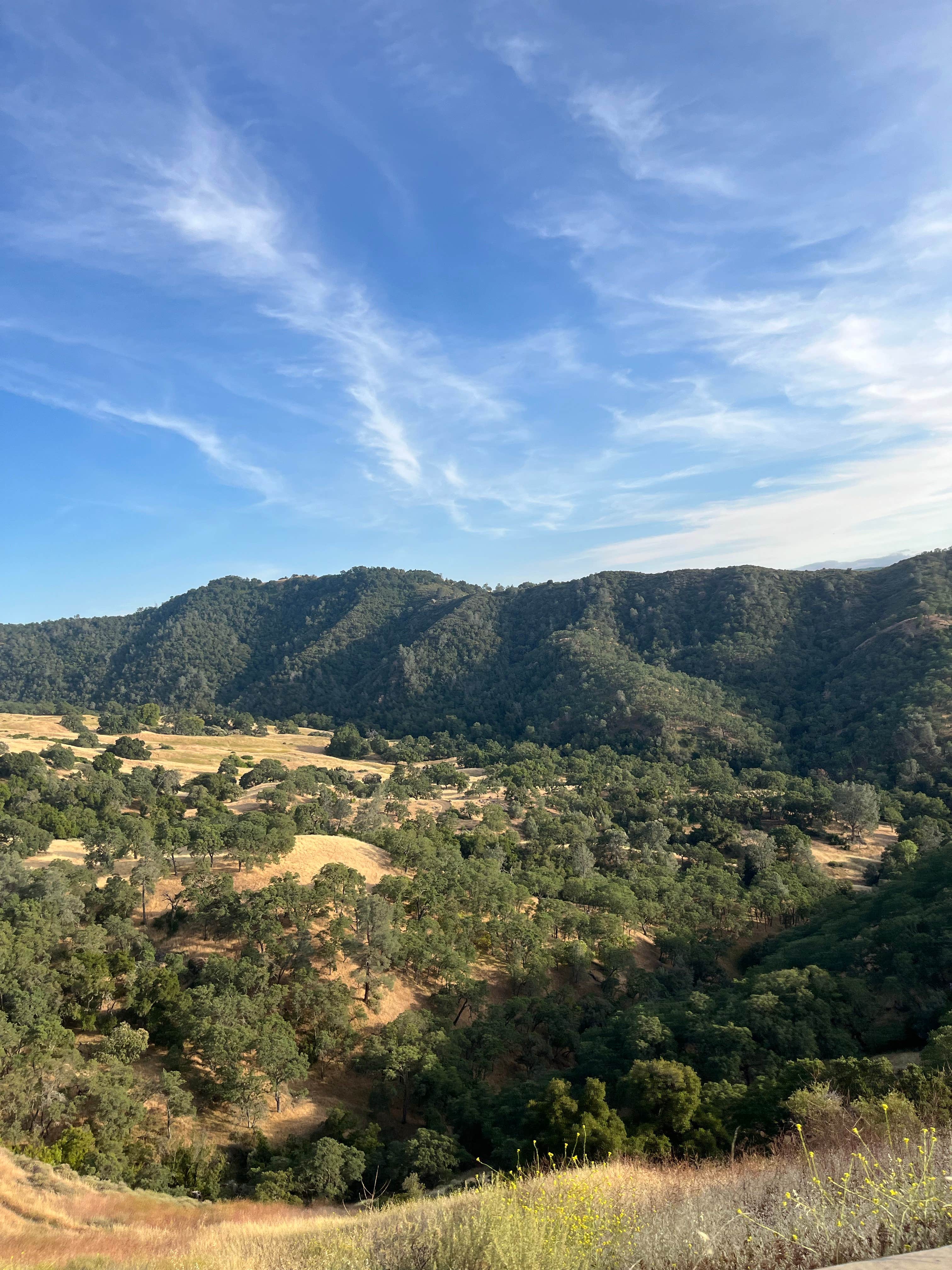 Camper-submitted photo at Juniper Campground — Mount Diablo State Park near Dixon, CA