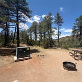 Review photo of Juniper Family Campground — Bandelier National Monument by Norah R., July 16, 2026