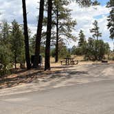 Review photo of Juniper Family Campground — Bandelier National Monument by Norah R., July 16, 2026