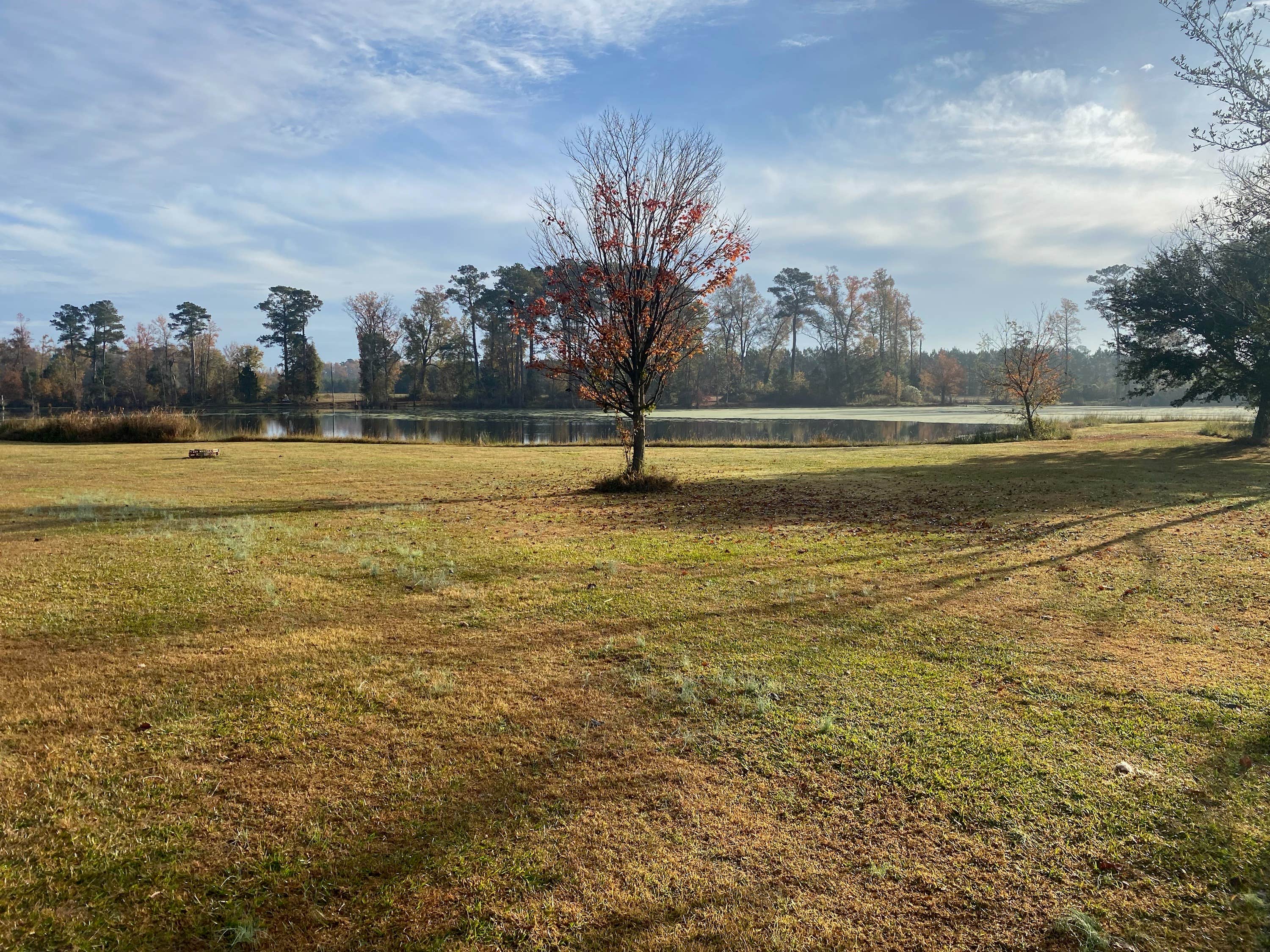 Camper submitted image from JCO Campground at Lee Baysden Pond - 2