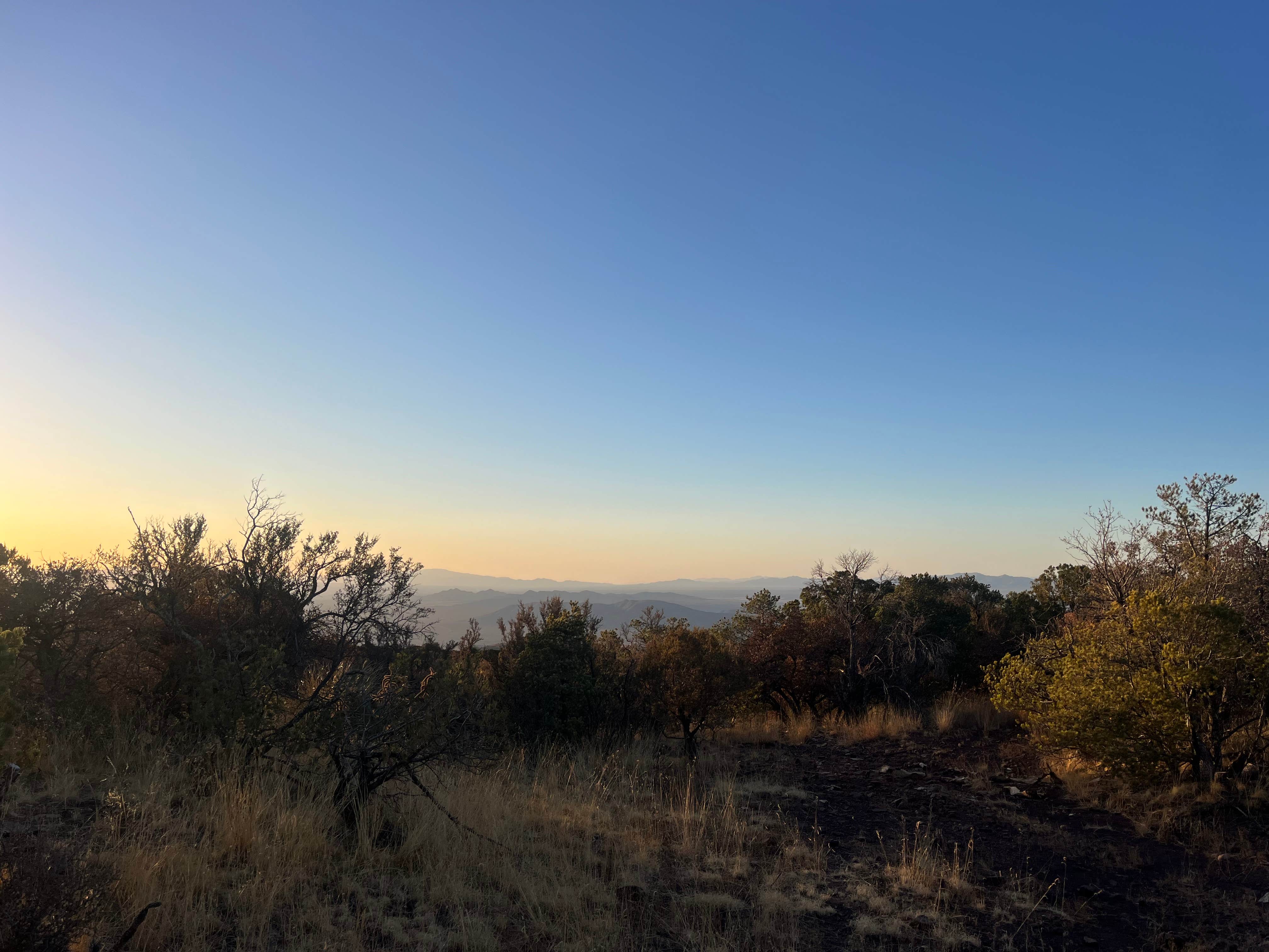 Camper-submitted photo at Upper Juniper Flats Road near Hereford, AZ