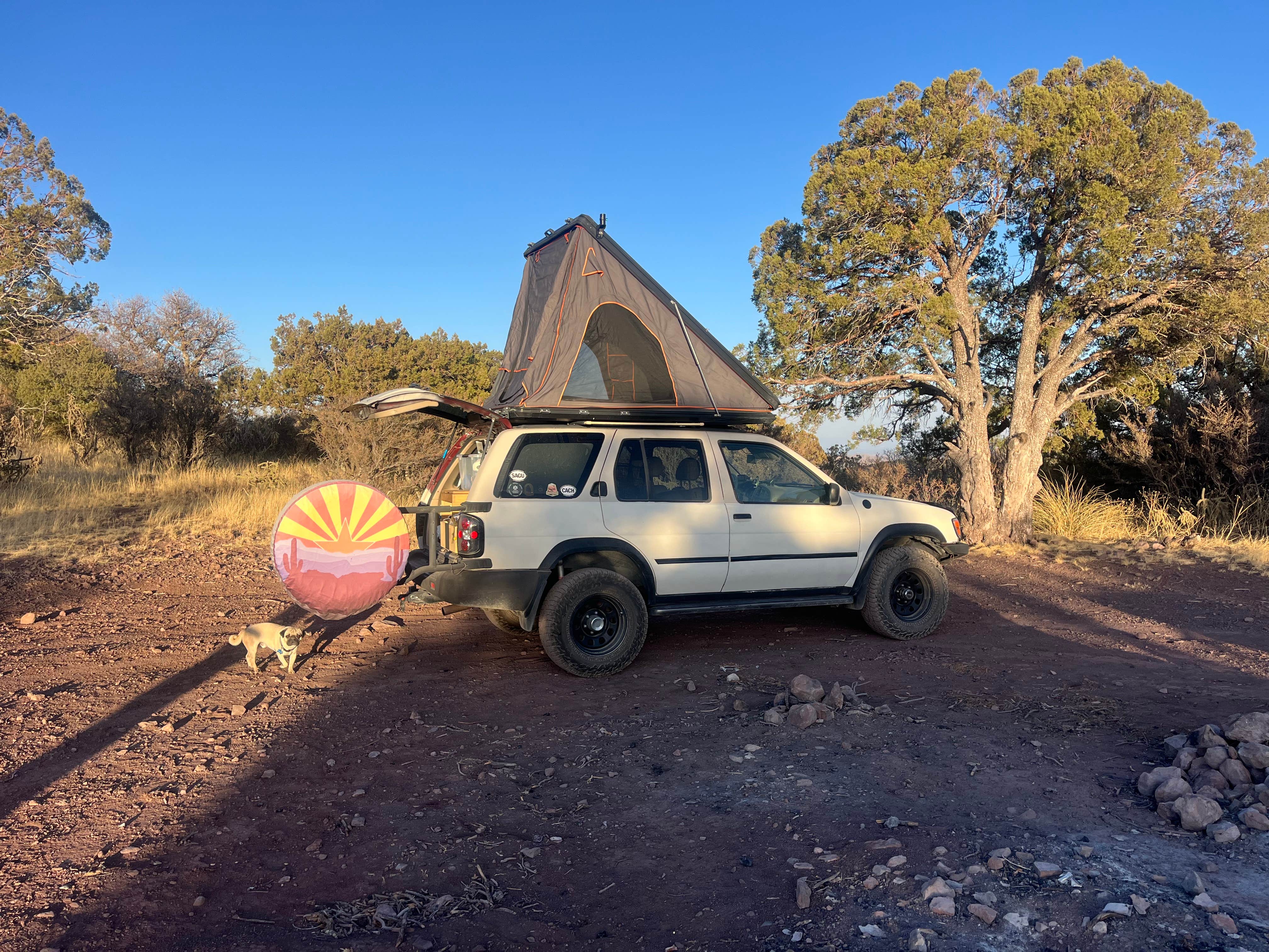 Taz G.'s photo of camping with pets at Upper Juniper Flats Road near Elfrida, AZ