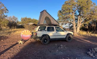 Taz G.'s photo of camping with pets at Upper Juniper Flats Road near Tombstone, AZ