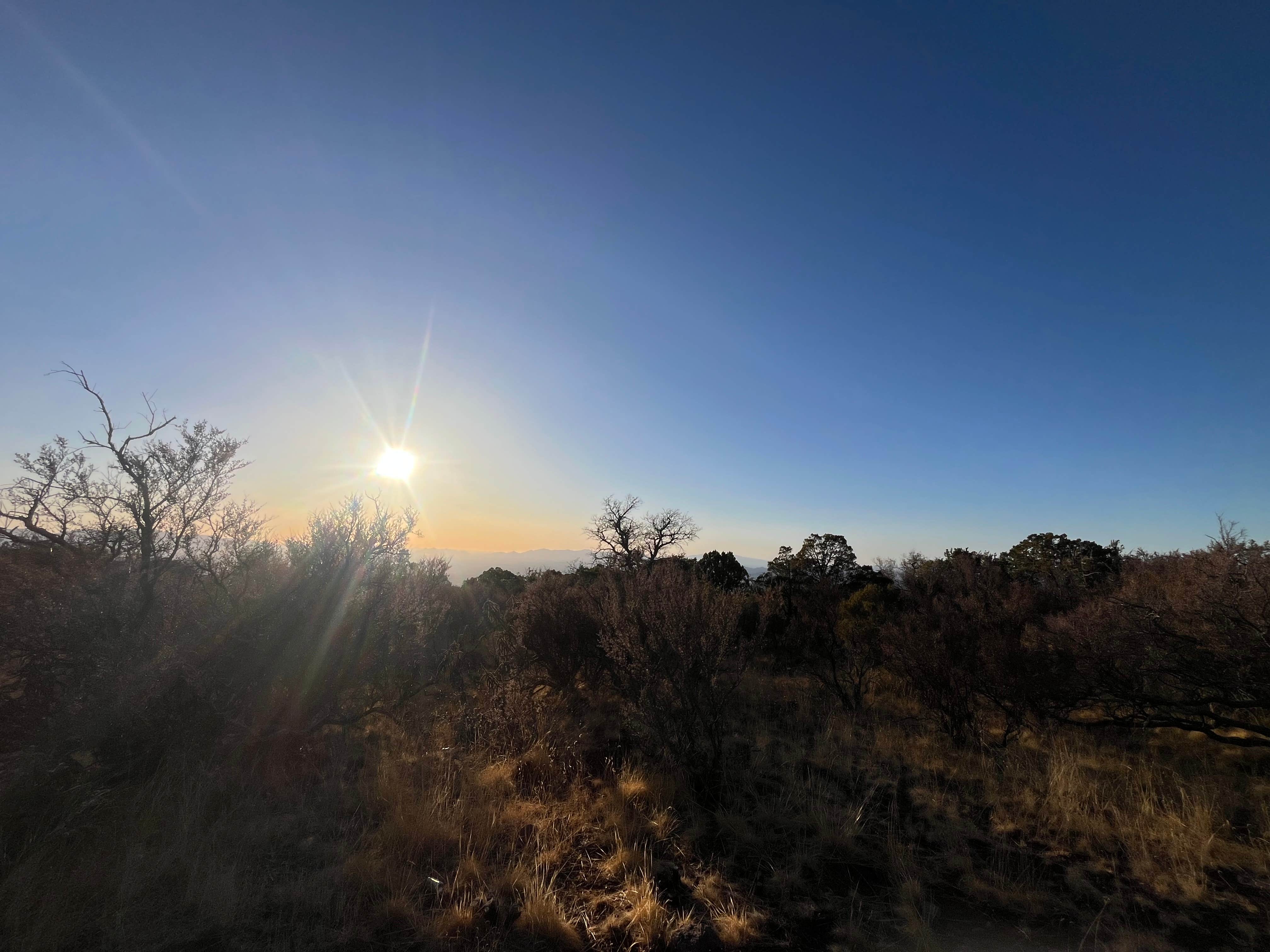 Camper-submitted photo at Upper Juniper Flats Road near Hereford, AZ