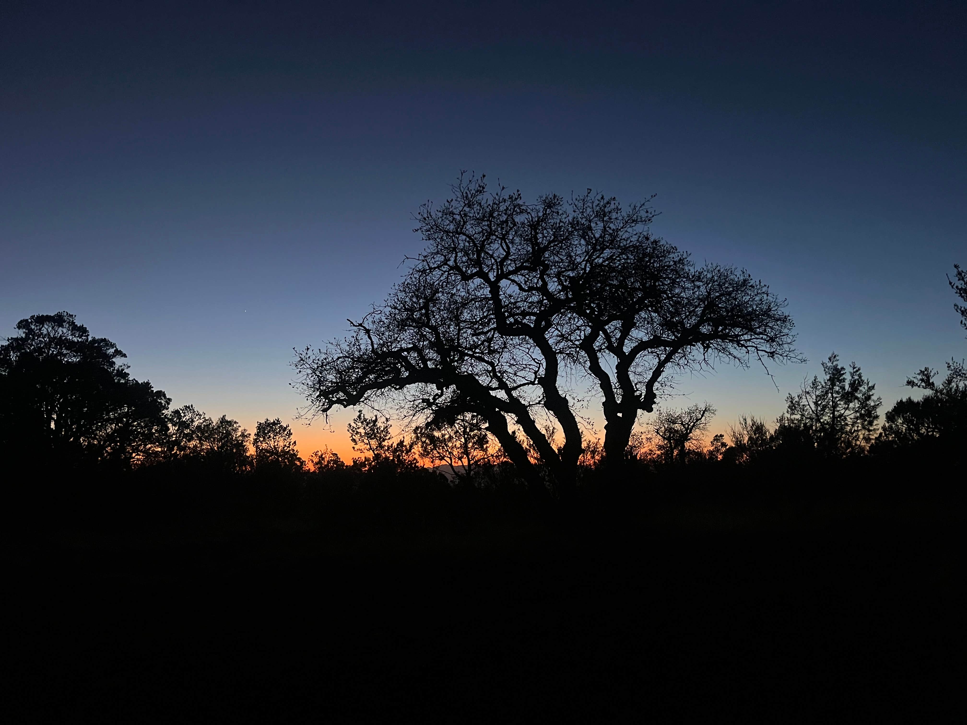 Camper-submitted photo at Upper Juniper Flats Road near Hereford, AZ