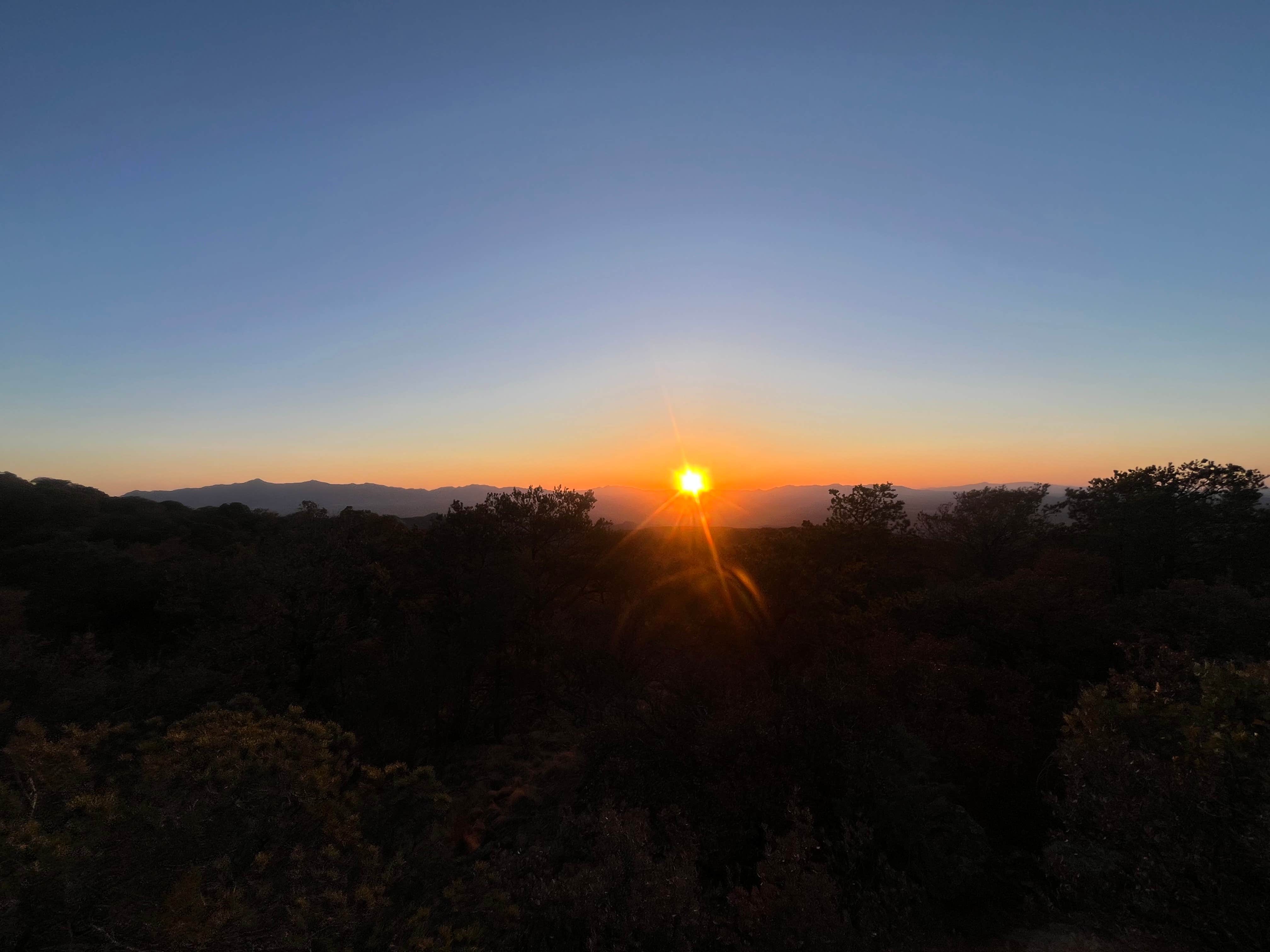 Camper-submitted photo at Upper Juniper Flats Road near Hereford, AZ