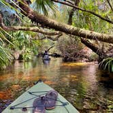 Review photo of Juniper Springs Rec Area - Fern Hammock Springs by Amy P., November 21, 2024