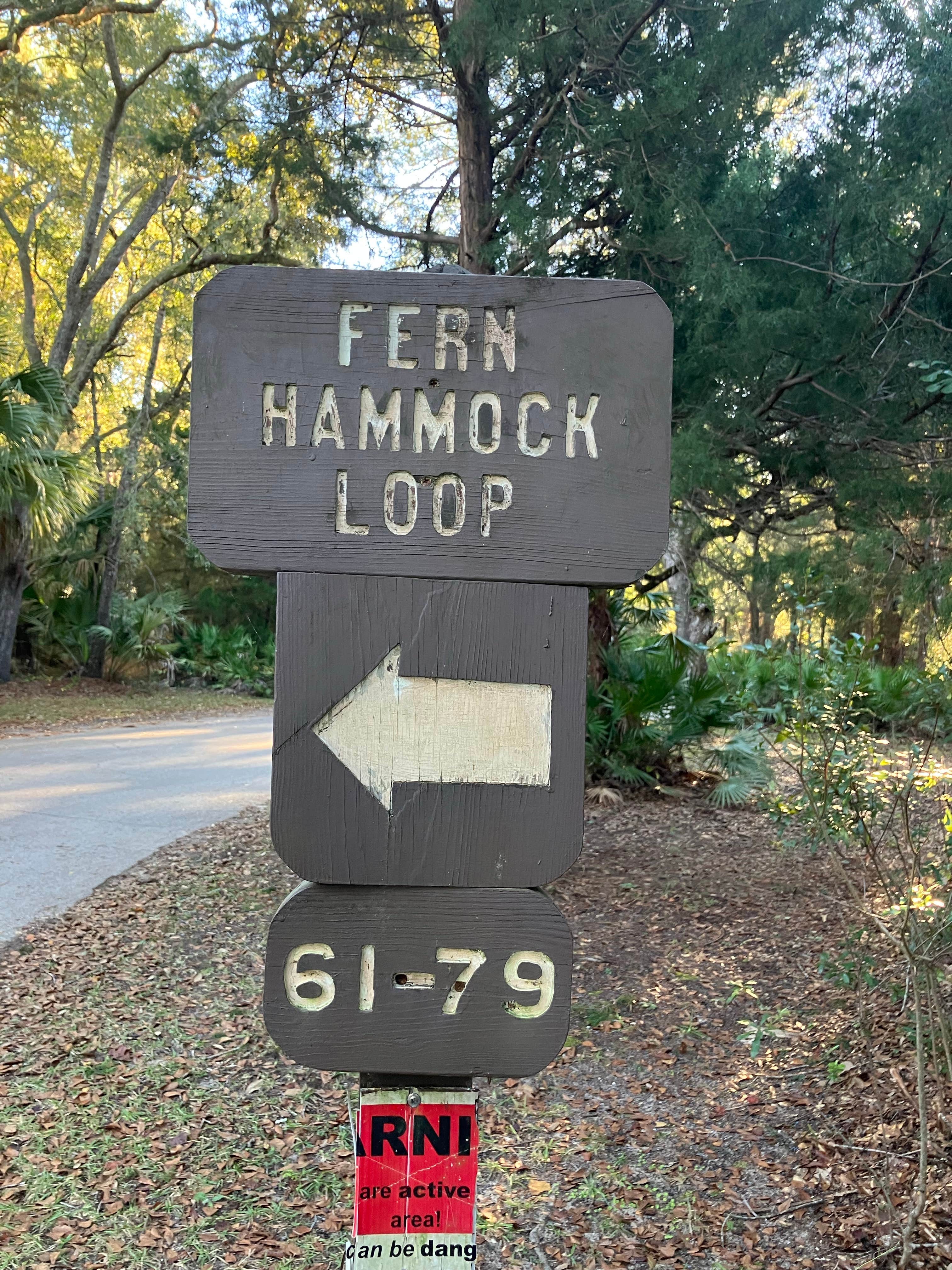 Camper submitted image from Juniper Springs Rec Area - Fern Hammock Springs - 4