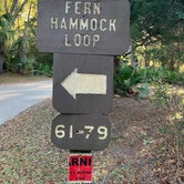 Review photo of Juniper Springs Rec Area - Fern Hammock Springs by Roger W., December 4, 2023