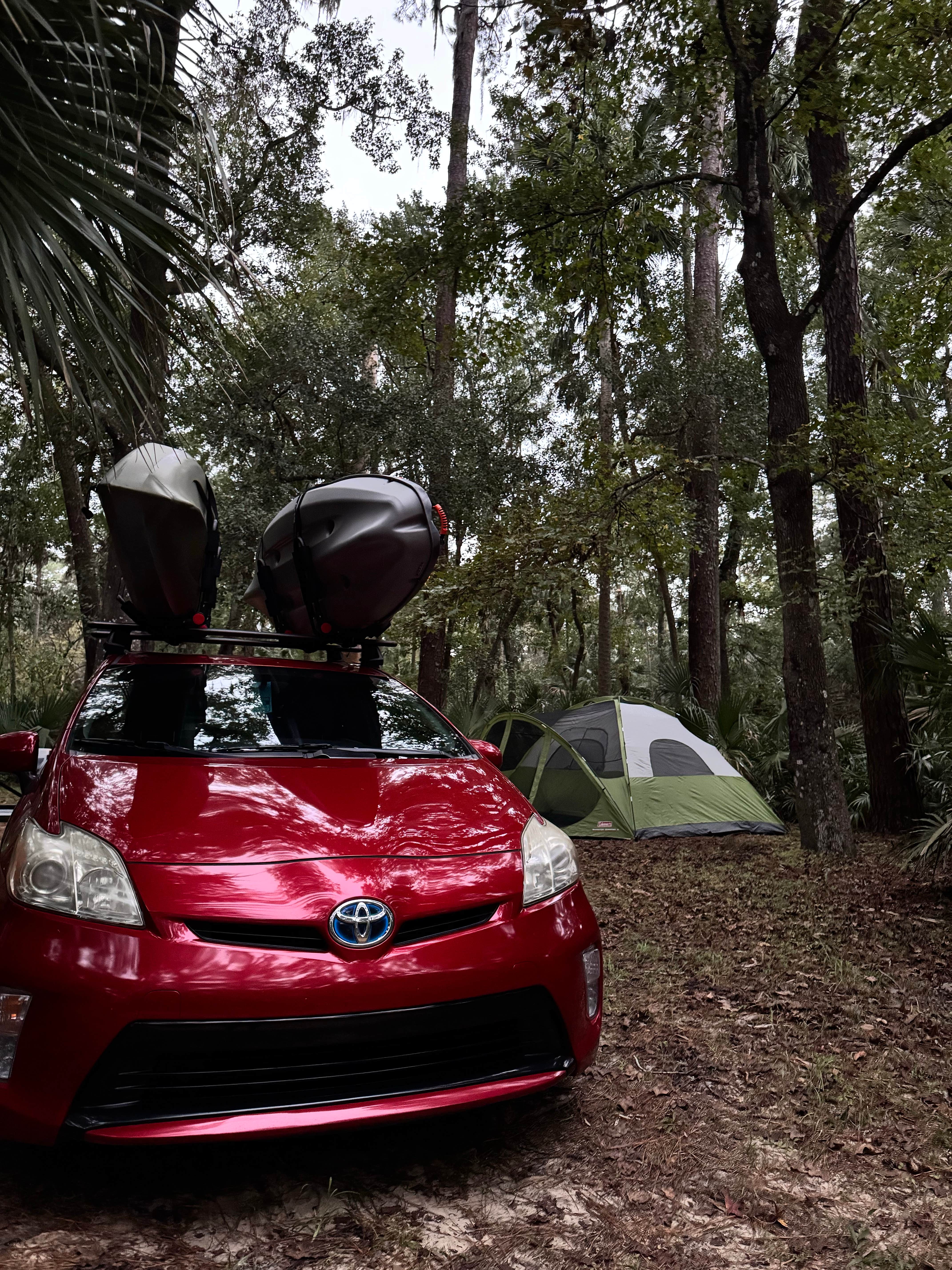 Camper submitted image from Juniper Springs Rec Area - Fern Hammock Springs - 1